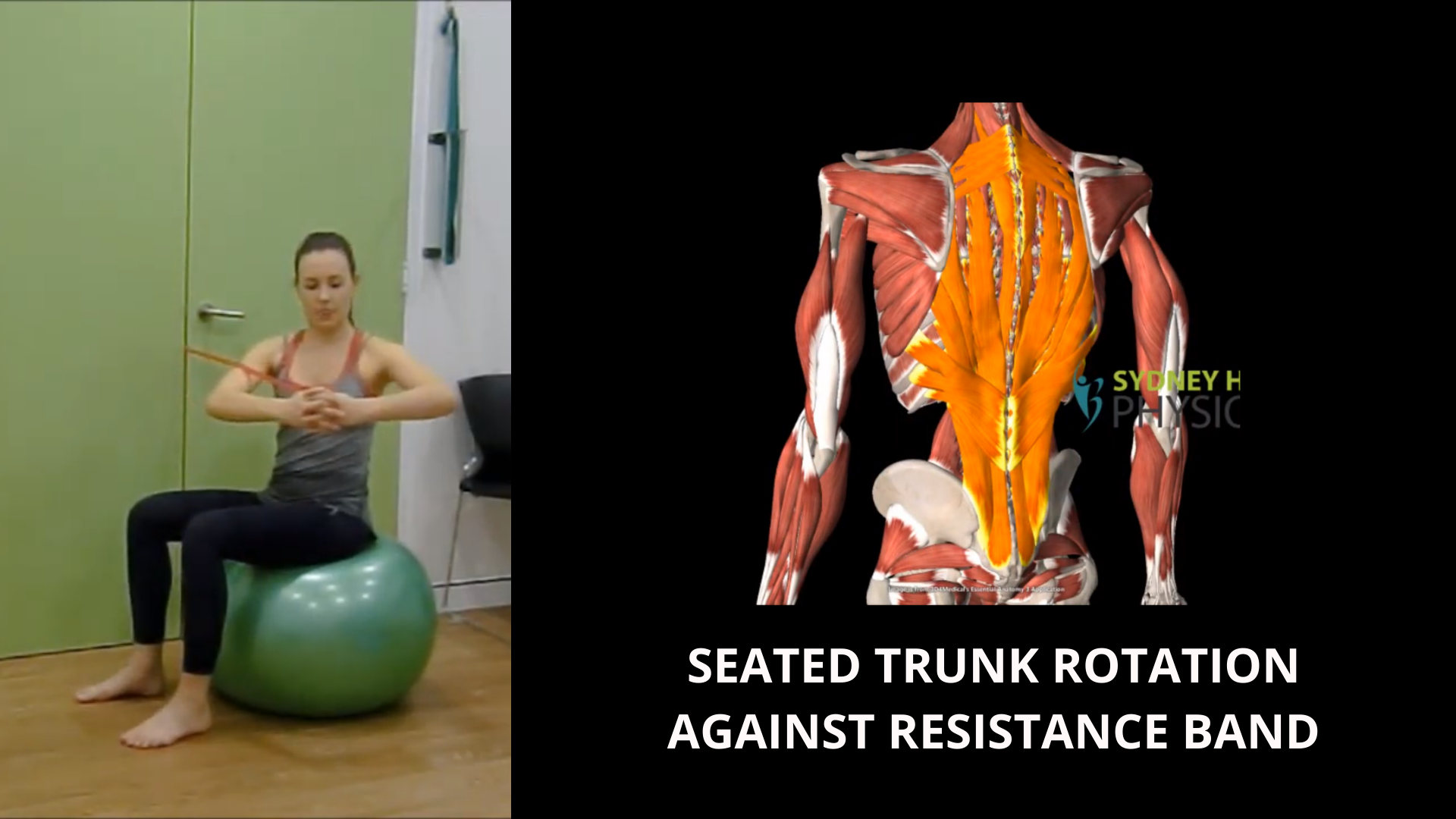Trunk muscles exercises sale